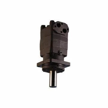 Saruer Dan-Foss OMT160 OMT200 OMT250 OMT400 OMT500 Fithmhótair Hiodrálacha OMT315 151B3003