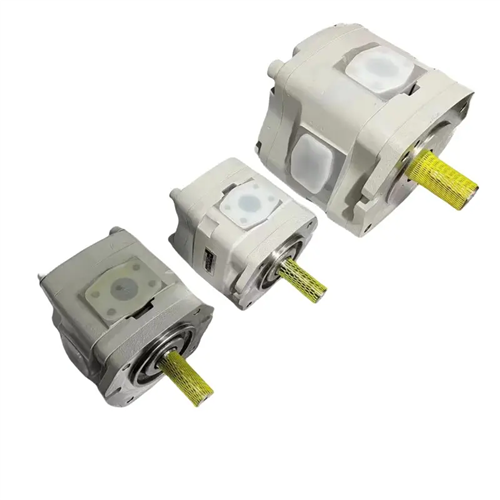 NACHI IPH IPH-4A IPH-4B IPH-4A-25-LE-20 IPH-4A-25-LT{{7 }} Meaisín Múnlaithe Instealladh Pump Gear